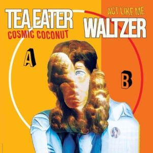 Tea Eater and Waltzer "Cosmic Coconut" single artwork
