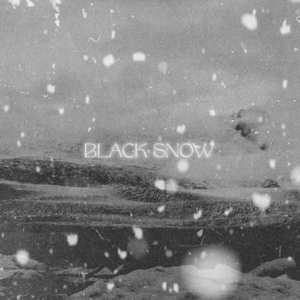 Horseshoes "Black Snow" album artwork